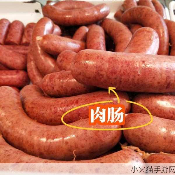 小洞需要大肉肠的惊人真相：小洞与大肉肠的秘密揭秘🔍🌭