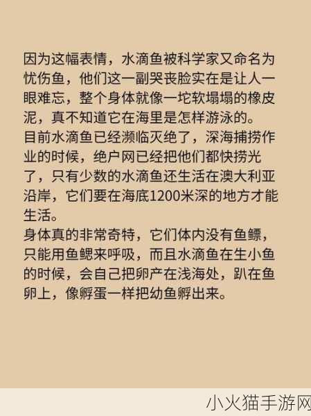 神奇海洋中的单棘璧鱼和水滴鱼，你了解吗？