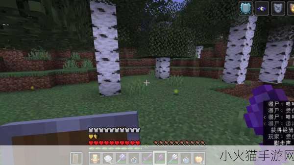 暴躁老外玩minecraft蘑菇-1. 暴躁老外在Minecraft中打造梦幻蘑菇王国