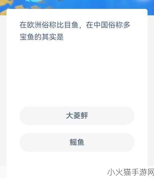 探索神奇海洋，多宝鱼的归属之谜与今日答案揭晓