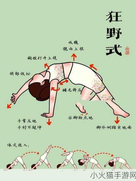 两种进入狂野式的方法已破解-1. 狂野探索：两种方法的无限可能