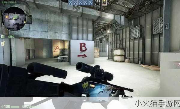 暴躁少女csgo最火的一句-暴躁少女CSGO：游戏中的热血与挑战交织的青春