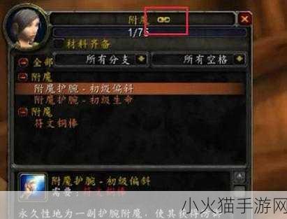 探索魔兽世界 WLK 圣骑士宏命令的奥秘指南