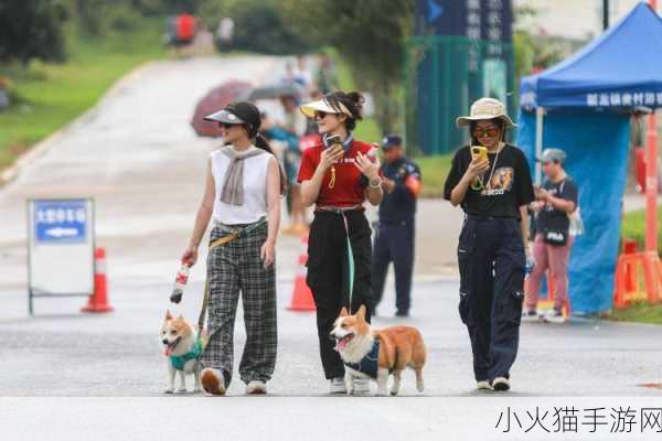 人与动物ppt免费模板大全将开拓国内市场-1. 开启人与动物互动的新篇章：市场拓展策略