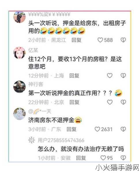 房东先生这是第3次付房租了-房东先生的第三次租金支付：一段信任与责任的旅程