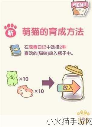 猫猫栽培全流程图文详细攻略指南