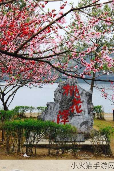 桃花潭畔诗意浓，探寻桃花背后的千古情谊