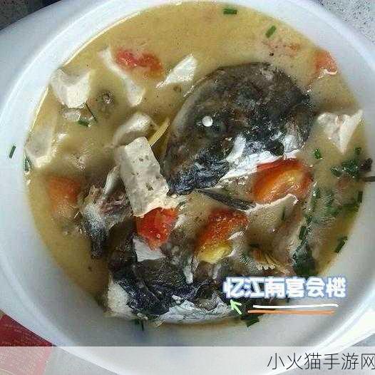 炖肉计-是今海棠软件被开放-炖肉计：探索海棠背后的美味故事与秘方