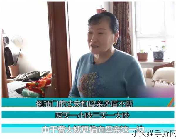 暴躁大妈的背景-1. 暴躁大妈的厨房大战：美食与怒火交织