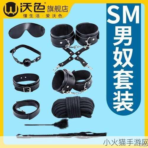 sm男男-当然可以！以下是一些基于SM男男主题的扩展