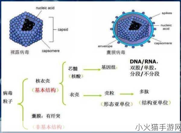 宿主需要JY才能活下去-1. 宿主依赖JY生存的深层次解析