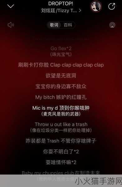 JAZZHIPHOP女RAPPER-1. ＂独立女性的力量：JAZZHIPHOP女RAPPER的崛起