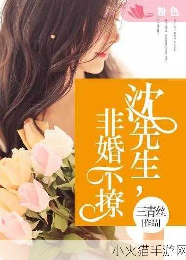 沈先生的花式婚后生活-1. 沈先生的婚后生活：甜蜜与挑战并存