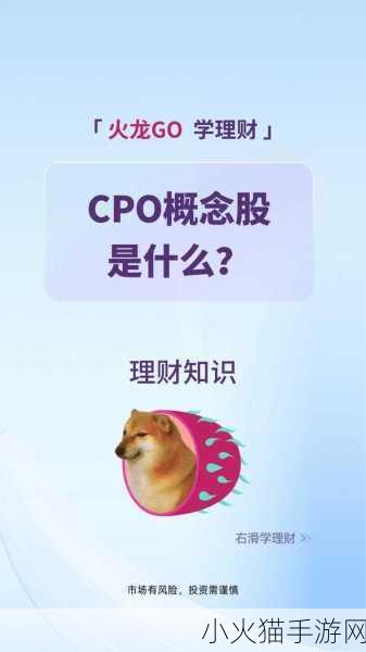 次次挨揍CPO要下架了-1. 次次挨揍的CPO终于下架，背后真相揭秘！