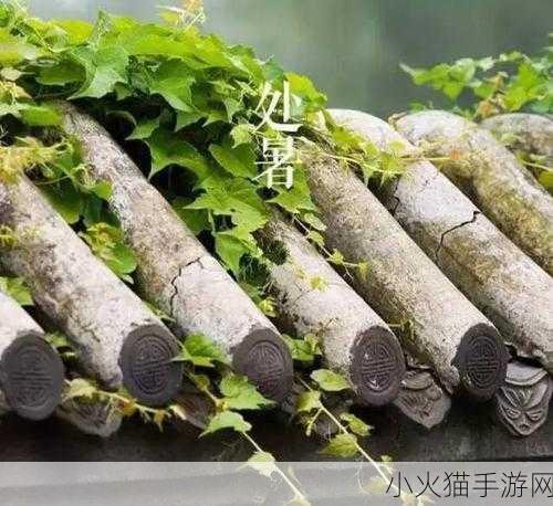 处暑节气究竟在何季？蚂蚁庄园 8.23 今日答案揭晓