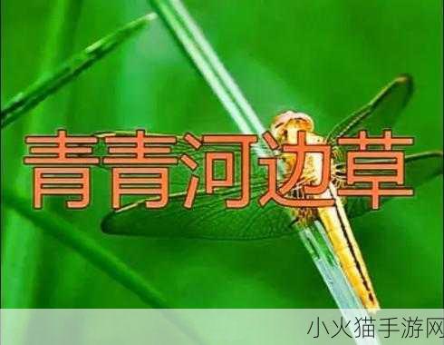 青青河边草高清免费版视频-1. 《青青河边草：青春的悸动与梦想