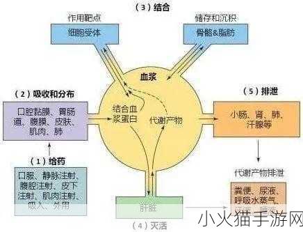 《药效》1V2H-1. 从《药效》看现代医学的创新与挑战