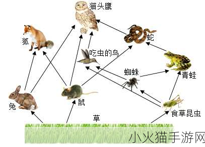 洗手间截了一段小视频食物链-从洗手间看生活：剖析隐秘的食物链生态