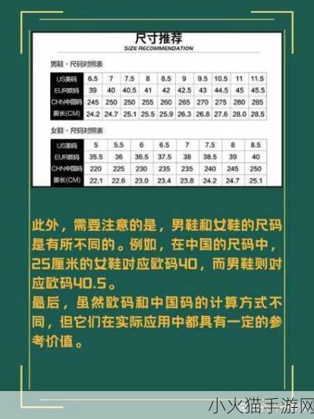 亚洲一码和欧洲二码的尺码区别差异详解-亚洲一码与欧洲二码尺码差异详解及选购指南