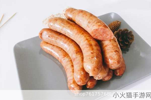 小洞需要大肉肠在线入口终于打开-1. 小洞大肉肠，畅享美味新体验