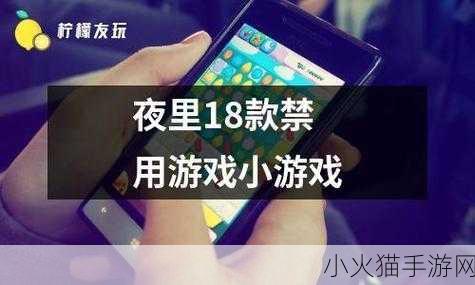 夜里18款禁用软件APP的功能详解-1. ＂深夜潜行：揭秘18款禁用APP的隐秘功能