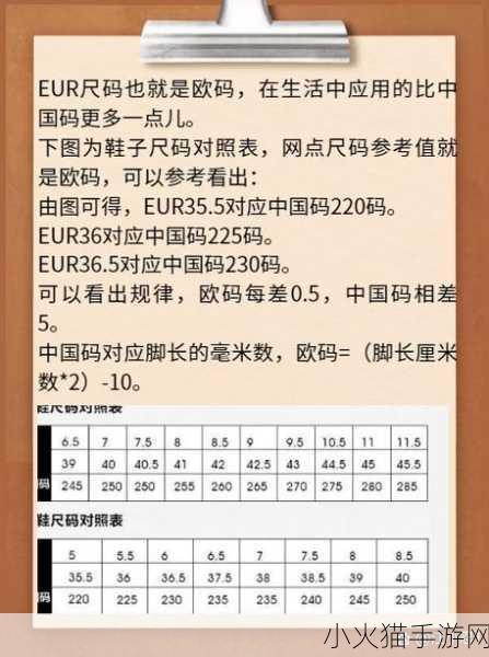 欧亚尺码专线欧洲B1B1的尺码指南-欧亚尺码B1B1详解：欧洲鞋服尺寸全攻略