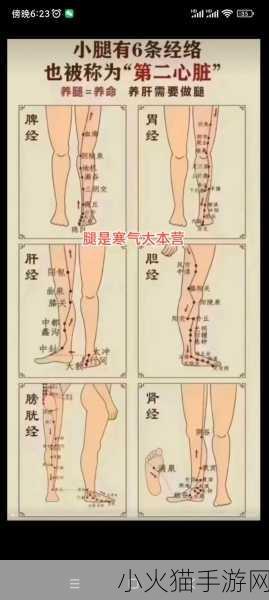 把腿先翘起来不用紧张-1. 放松心情，腿部舒展技巧分享