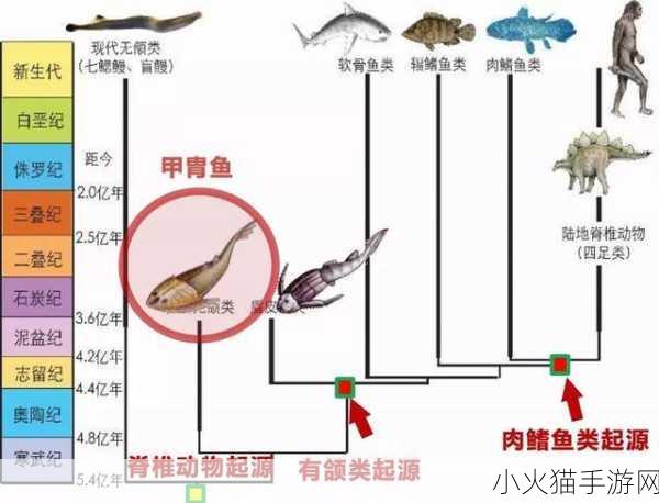 探索软黄金鱼类之谜，价格高昂背后的真相