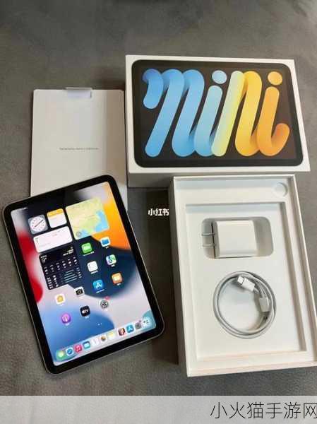 如何确保mini6的秘密入口安全-确保Mini6秘密入口安全的有效策略与方案