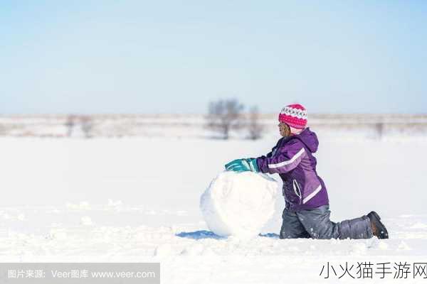 两团雪球快速摇动-1. 雪球对撞：激情冬季运动的魅力