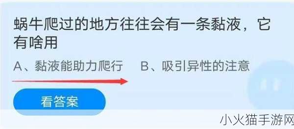 探索蚂蚁庄园 2 月 23 日最新答案的奥秘