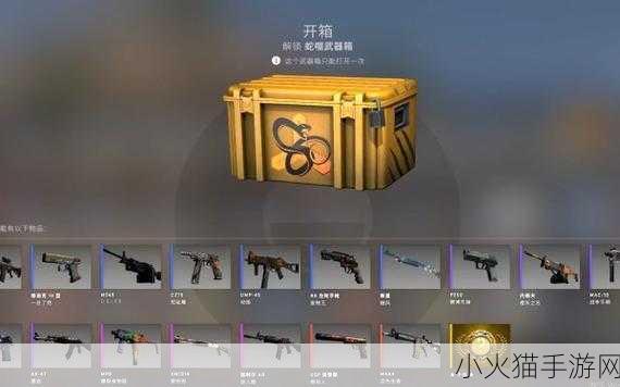 CSGO 箱子出金对应图全解析，探寻神秘的财富密码