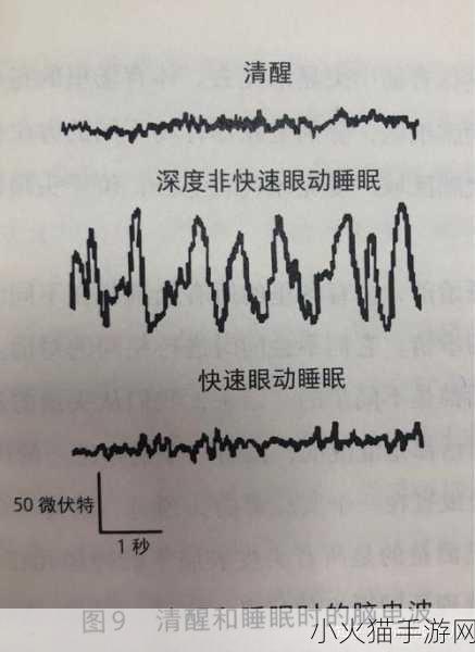 睡眠を取らなくてもいい-1. 不再依赖睡眠：探索高效生活的秘密