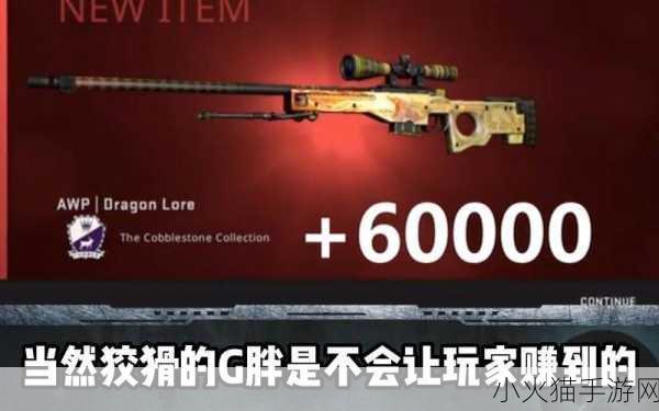 17岁俄罗斯CSGO玩家的竞技表现如何-1. 17岁俄罗斯CSGO玩家展现惊人竞技实力