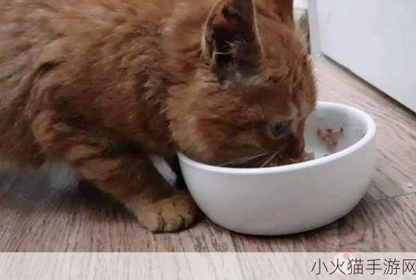 猫咪味觉之谜，蚂蚁庄园揭示猫咪尝不出的味道