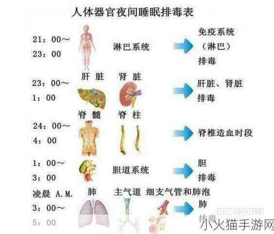 顶级村医第五章排毒要吸-1. 深入探讨排毒疗法的科学依据与实践