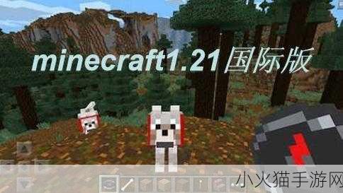 暴躁老外玩minecraft哪个版本好-1. 暴躁老外推荐的Minecraft最佳版本大揭秘