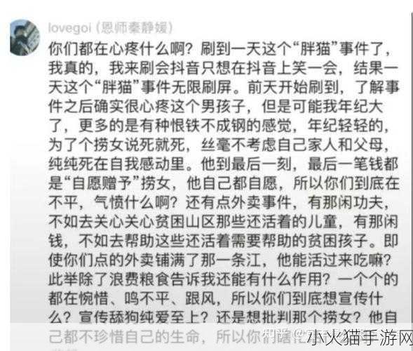 深度解析胖猫事件，来龙去脉与背后真相