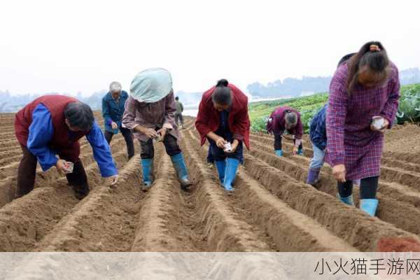 萝卜视频高清版免费下载提供选集自动播放功能-萝卜视频高清版：畅享自动播放无缝观影体验