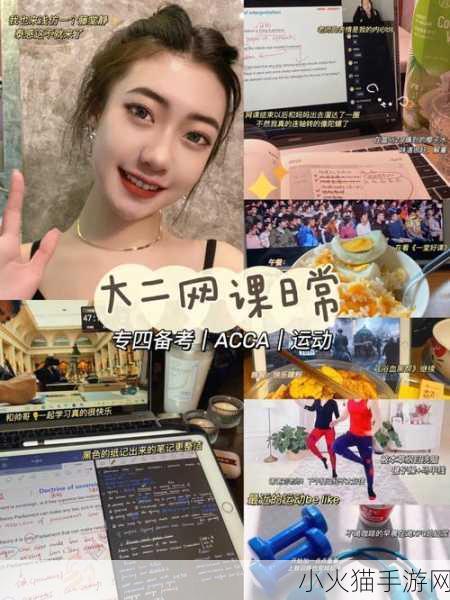 ACCA少女课视频2023排名再次被抢-ACCA少女课视频2023新排名揭晓，学习热潮再攀高峰！