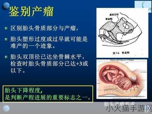 双腿间硬硬的胎头湿漉漉的挤出来-1.迎接新生命：感受胎头的神奇瞬间