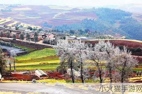 大地资源在线观看免费高清站-1. 大地资源高清影像：探索自然之美