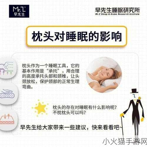 自W到高C夹枕头-1. 从W到高C：打造完美睡眠的枕头选择