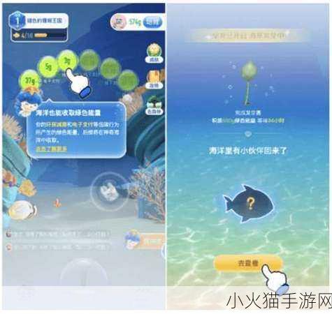 神奇海洋今日答案 10.10，水母有心脏吗？探寻海洋生物之谜