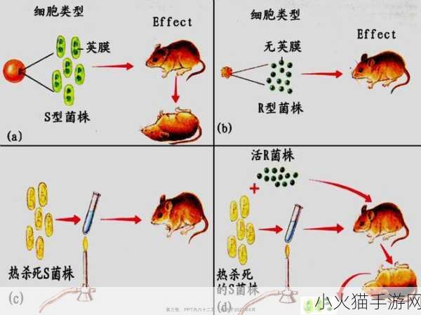 生物老师拿自己当做繁衍例子-1. ＂以生物老师为例探讨繁衍与遗传的关系