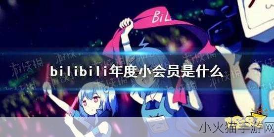 深度解析，B站年度小会员究竟意味着什么