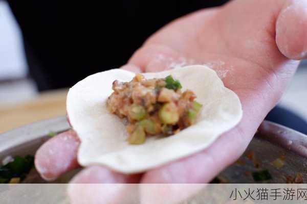 课后辅导po肉馅小水饺-1. 美味小水饺：轻松学做肉馅的秘诀