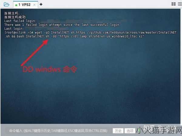 VPSWINDOWS另类极品-1. VPS WINDOWS：探索另类极品的无限可能