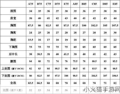 欧洲尺码日本尺码专线图片-欧洲尺码与日本尺码对照详解及选购建议