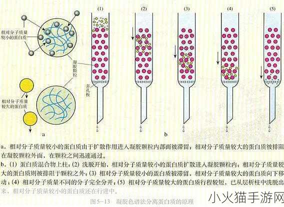 waters色谱柱c18-1. 高效分离：C18色谱柱在液相色谱中的应用探索